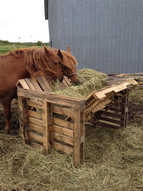 Horse feeder made from old pallets #Oldpallets | Hay feeder for horses ...