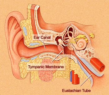 Eustachian Tube Disorders