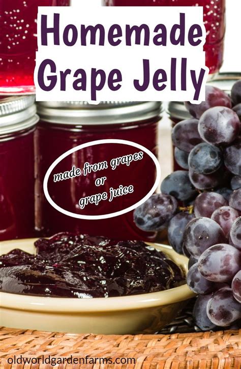 Homemade grape jelly – Artofit