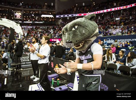 March 14, 2024, Kansas City, Missouri, USA: KSU Mascot Willie the Wildcat at T-Mobile Arena ...