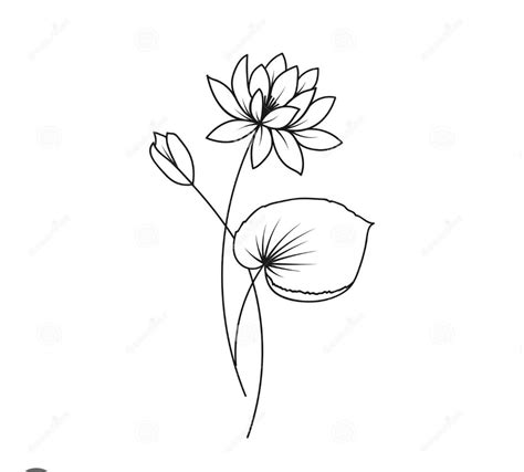 Birth flower tattoo (July) | Water lily tattoos, Birth flower tattoos, Lily tattoo design