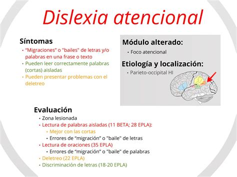 Tipos de dislexia según la ruta alterada. | Avanzo - Sesma - Psicología ...