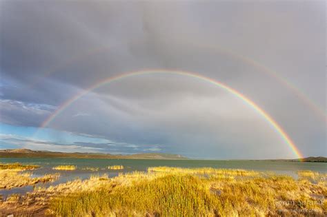 Vrana Lake - Dalmatia’s kingdom of birds - Explore Croatia