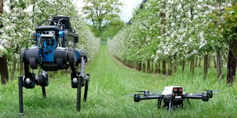 5 Benefits of Bringing Robots in the Agricultural Sector - Jeju Media - Get Professional Advice ...