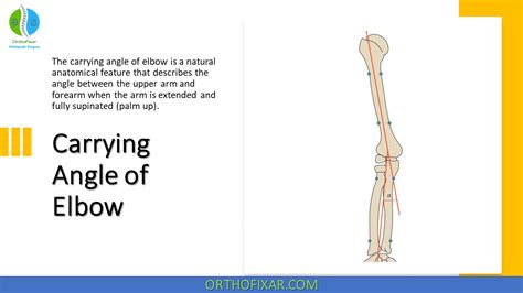 Carrying Angle Of Elbow | OrthoFixar 2024