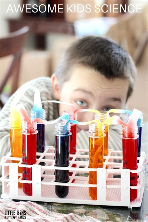 Walking Water Science Experiment for Kids STEM and Rainbow Science