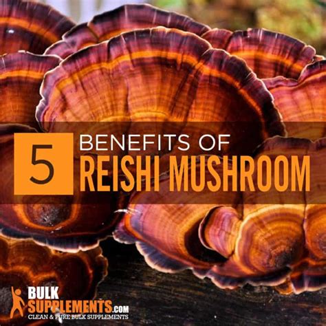 Reishi Mushroom Extract Benefits, Side Effects & Dosage