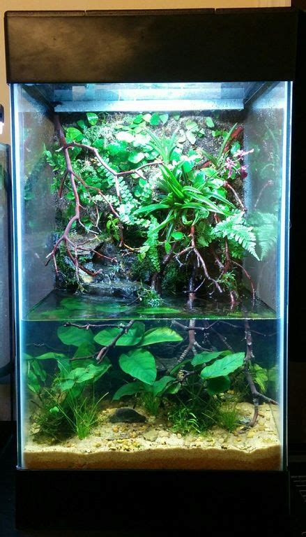 15 Gallon Fish Tank Tall - Wese Aquarium Fish