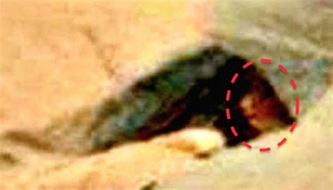 Alien or Statue? Finally: Has NASA Unearthed Evidence of Life on Mars ...