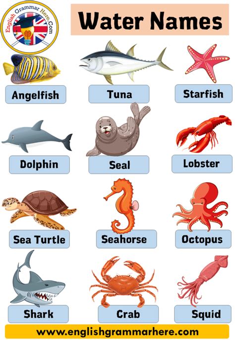 50 water animals name with pictures Water Animals Name In this lesson, we will examine the sub ...