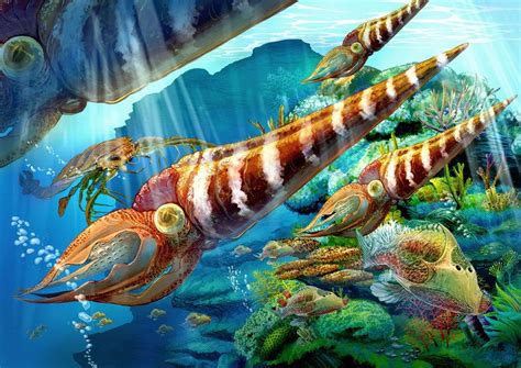 During the Paleozoic Era in the Phanerozoic Eon, the second period, the Ordovician Period began ...