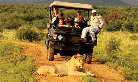 7 Days Luxury Uganda Safari - uganda luxury safari