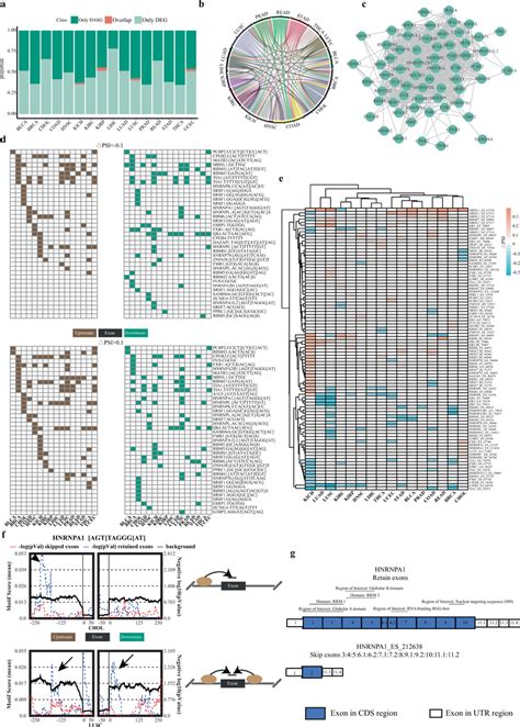 Alternative splicing of splicing factors a Bar plots showed the ratio... | Download Scientific ...