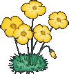 Animated Clip Art: Flower Animated Clipart Gallery