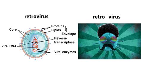 A Retrovirus vs A Retro Virus : r/ScienceHumour