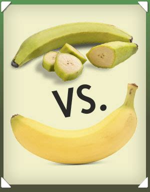 Golden Banana Plantain Chips : What's the Difference Between Plantain and a Banana?