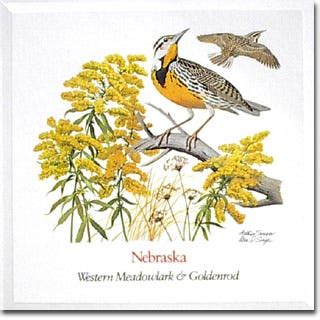 Nebraska Native Plants, State Flower & State Bird | American Meadows