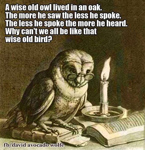 wisdom quote #owlquoteswisdom | Wise words quotes, Wise, Wisdom quotes