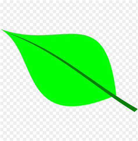 een leaf outline clipart - leaf clipart PNG image with transparent background | TOPpng