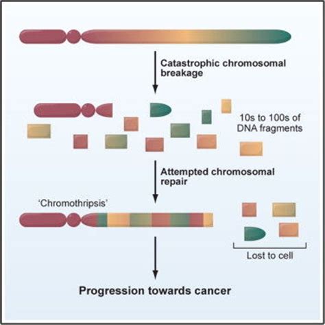 chromothripsis