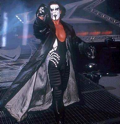 the crow sting - Google Search | Sting wcw, Pro wrestling, Tna impact ...