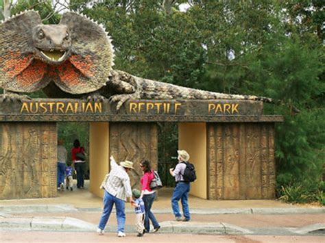 Australian Reptile Park | Museums in Sydney