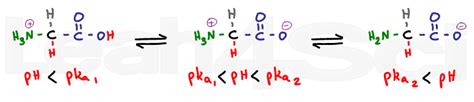 Glycine Structure At Ph 7