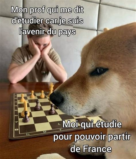 Les meilleurs mèmes Echecs :) Memedroid