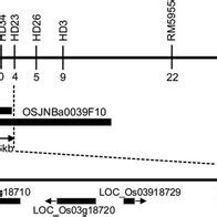 Fine mapping of the DTH3b. a Physical maps of the DTH3b locus using... | Download Scientific Diagram