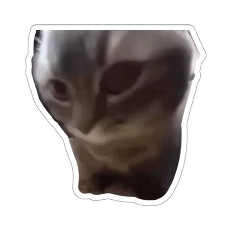 Chipi Chipi Chapa Chapa Cat Sticker Cat Meme Tik Tok Meme Sticker ...