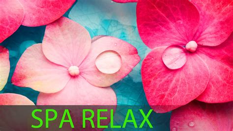 6 Hour Super Relaxing Spa Music: Meditation Music, Massage Music, Relaxation Music, Soothing ☯ ...