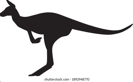 Silhouette Kangaroo On White Background Vector Stock Vector (Royalty Free) 1892948770 | Shutterstock