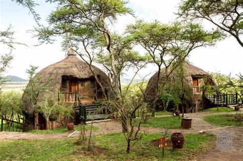 Serengeti Serena Safari Lodge | Rates & Prices | Safari Travel Plus