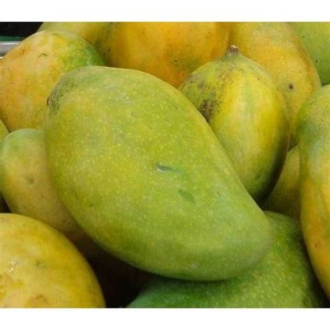 Fresh Langra Mango - Jay Mahalaxmi Nursery And Farm, Valsad, Gujarat