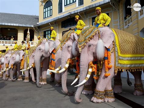 Ayutthaya elephants parade in Bangkok to honour the King of Thailand - Siam Actu