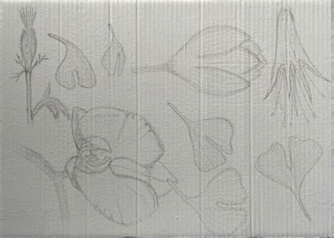 7512671 Silverpoint Sketches Study by mike10010001 on DeviantArt