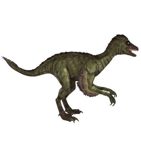 Troodon is a carnivorous dinosaur genus, Troodon is like a bird and lived in the Cretaceous ...