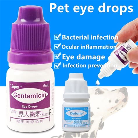 Sinphar Gentamicin Eye Drops for Pets 5ml | Shopee Philippines