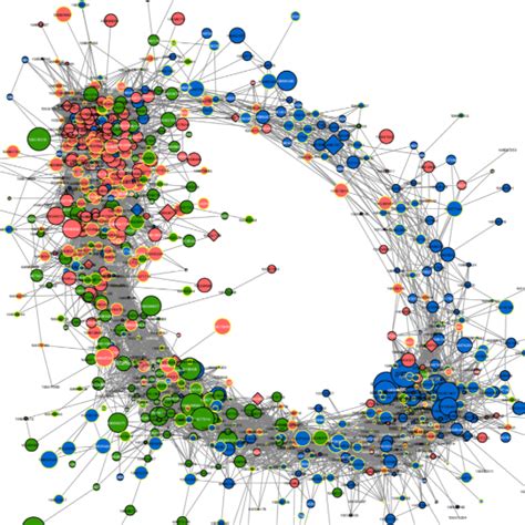 Gene Regulatory Network