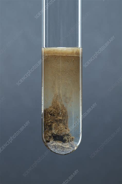 Silver hydroxide precipitate - Stock Image - C028/0961 - Science Photo ...