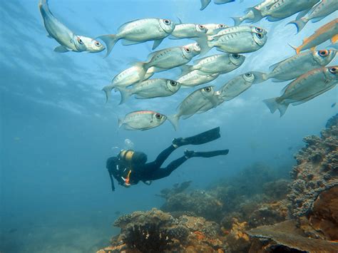 Benguerra Island - Bazaruto Archipelago - Hidden Africa