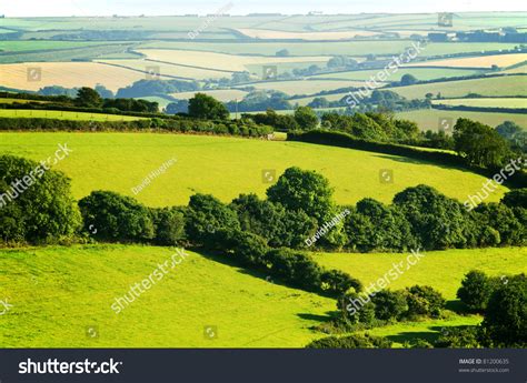 South Hams Countryside Devon England Uk Stock Photo 81200635 - Shutterstock