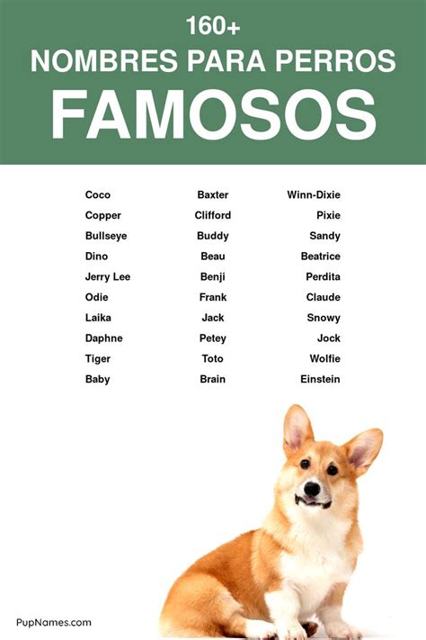 160+ Nombres Famosos Para Perros con significados | Aladdin