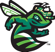 Augusta GreenJackets Logo South Atlantic League Sport Branding, Team ...