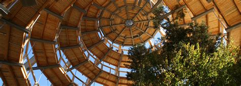 Treetop trail in Bavarian Forest National Park - | Bavaria | Experience nature, Bavarian forest ...