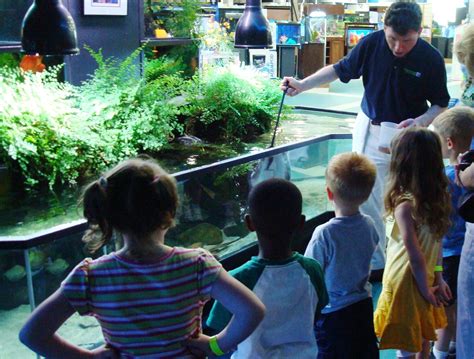 Feeding Fish — Aquarium Adventure Columbus