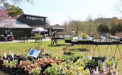 Adkins Arboretum Announces Spring Open House, Native Plant Sale - The Talbot Spy