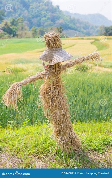 Scarecrow In The Wheat Field Stock Photo - Image: 51408112