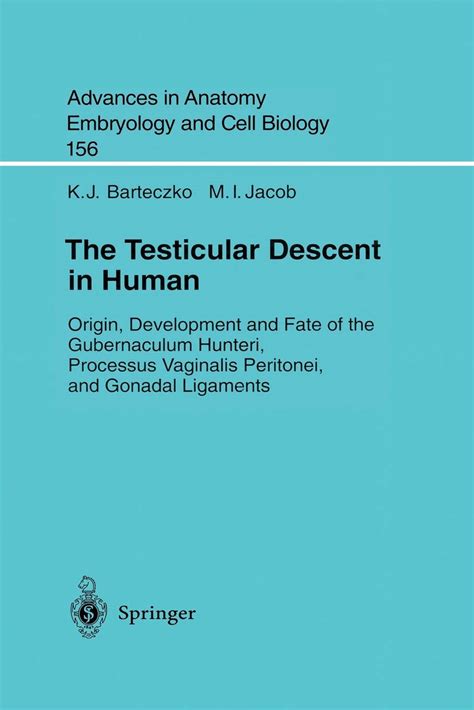 Buy The Testicular Descent in Human: Origin, Development and e of the Gubernaculum Hunteri ...