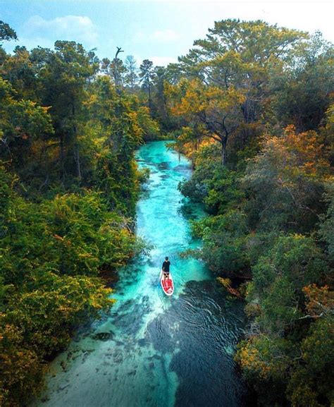 This Crystal Clear River In Florida Is One Of The Best Spots For ...